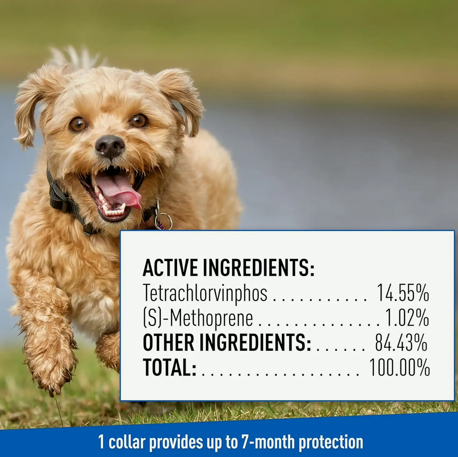 Adams Plus Tick & Flea Dog Collar, 7-Month Protection