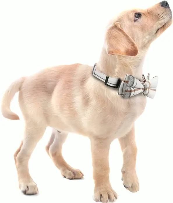 Comfy  Bow Tie Dog Necklace, Detachable & Adjustable, Small, Beige