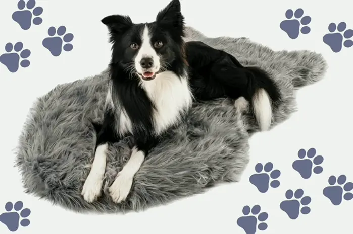 Therapeutic Dog Bed with Plush Cover