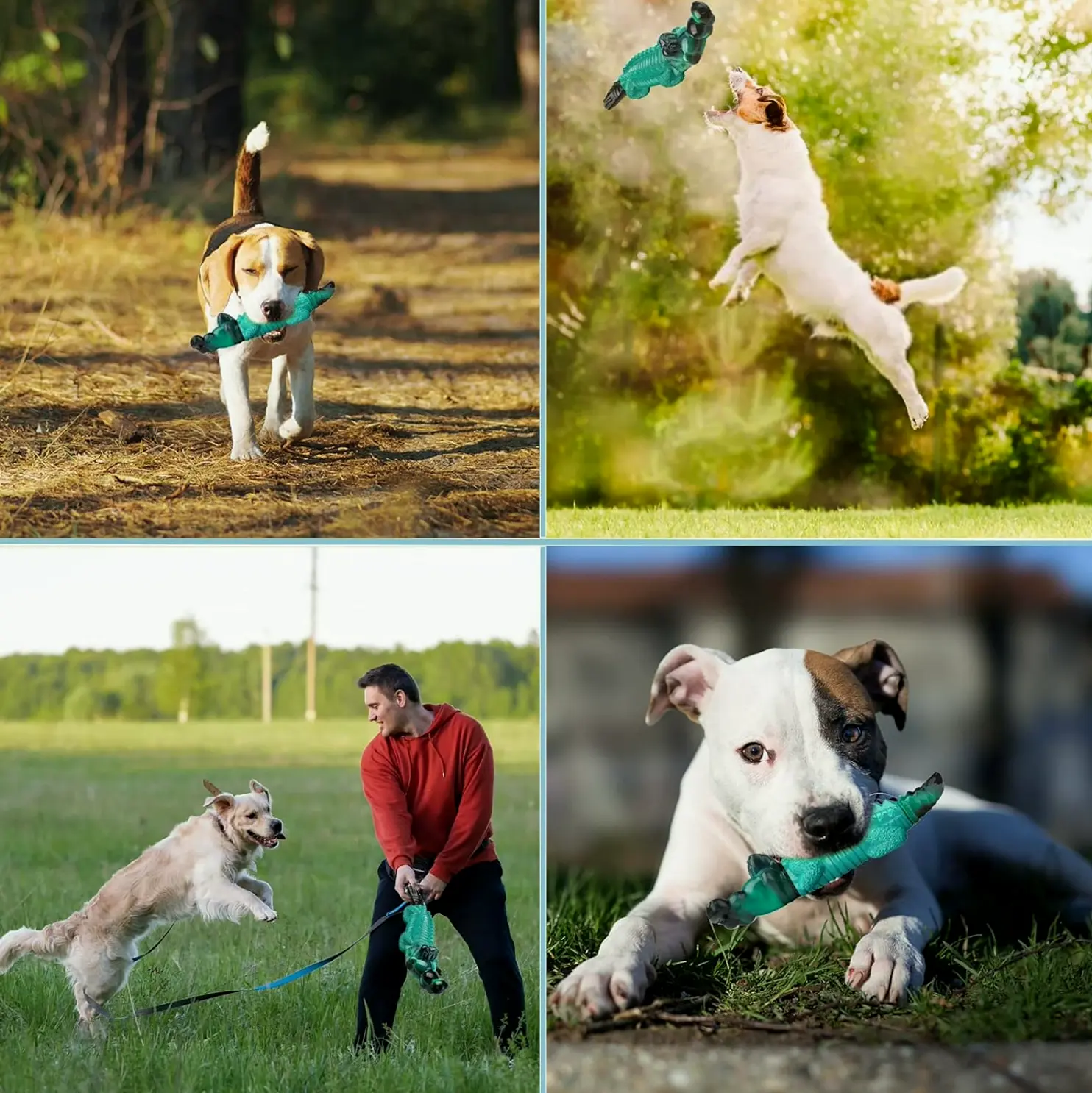 Sturdy Pet Chew Toys for Aggressive Chewers