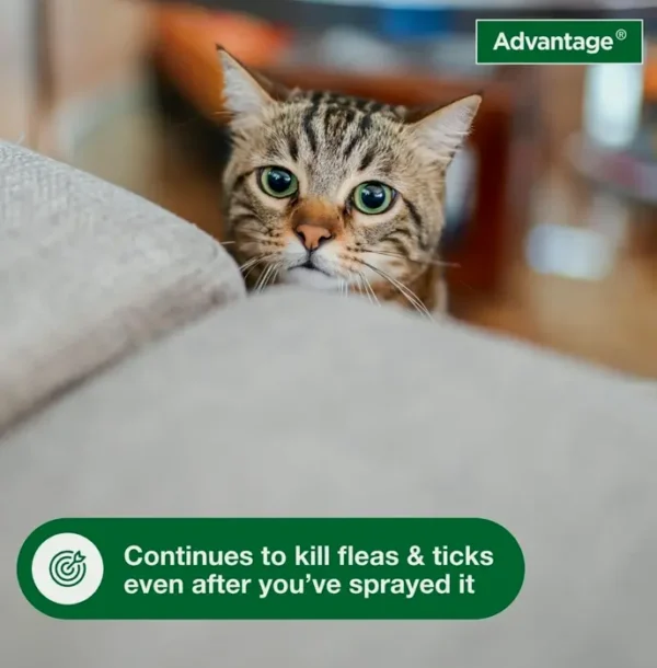 Advantage Carpet & Upholstery Spot Spray | Kills Parasites, Ticks & Bedbugs | 16 oz