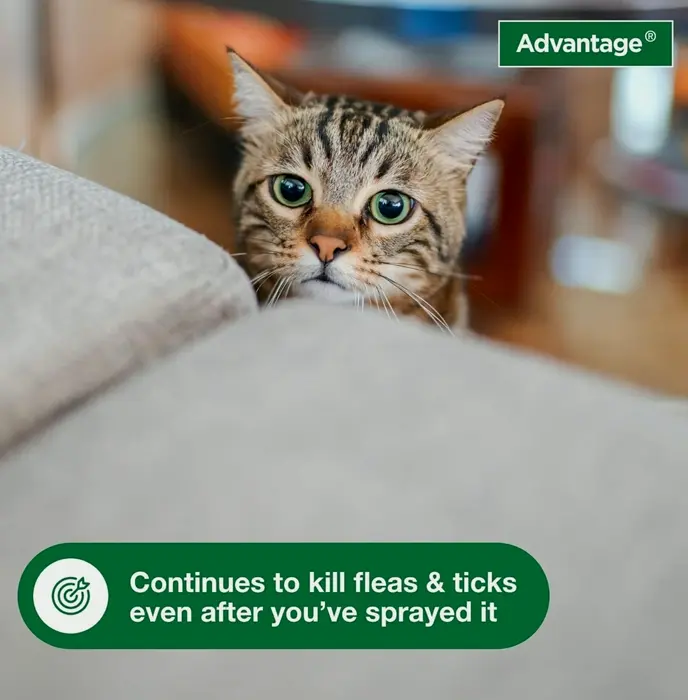 Advantage Carpet & Upholstery Spot Spray | Kills Parasites, Ticks & Bedbugs | 16 oz