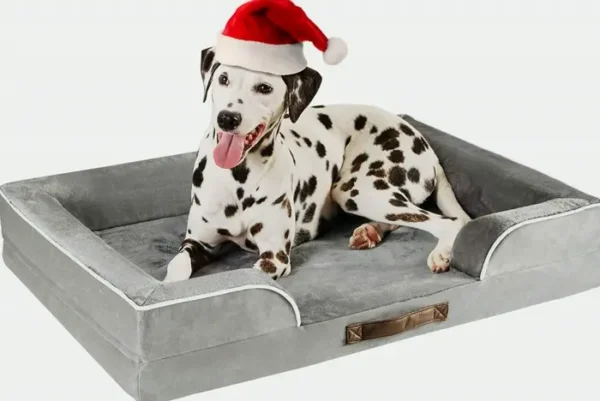 Orthopedic Dog Bed for Large Dogs with Memory Foam