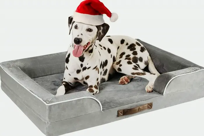 Orthopedic Dog Bed for Large Dogs with Memory Foam