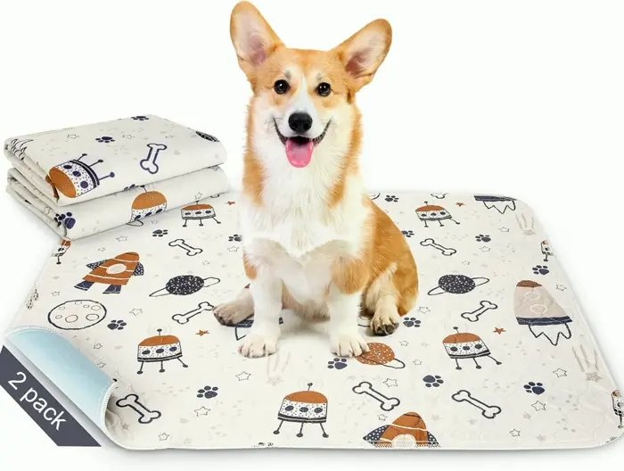 Dog Pads, Reusable & Super Absorbent, 31x36 Inch, 2 Pack