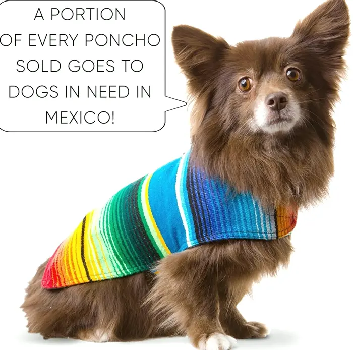 Custom Pet Sweater from Mexican Blanket
