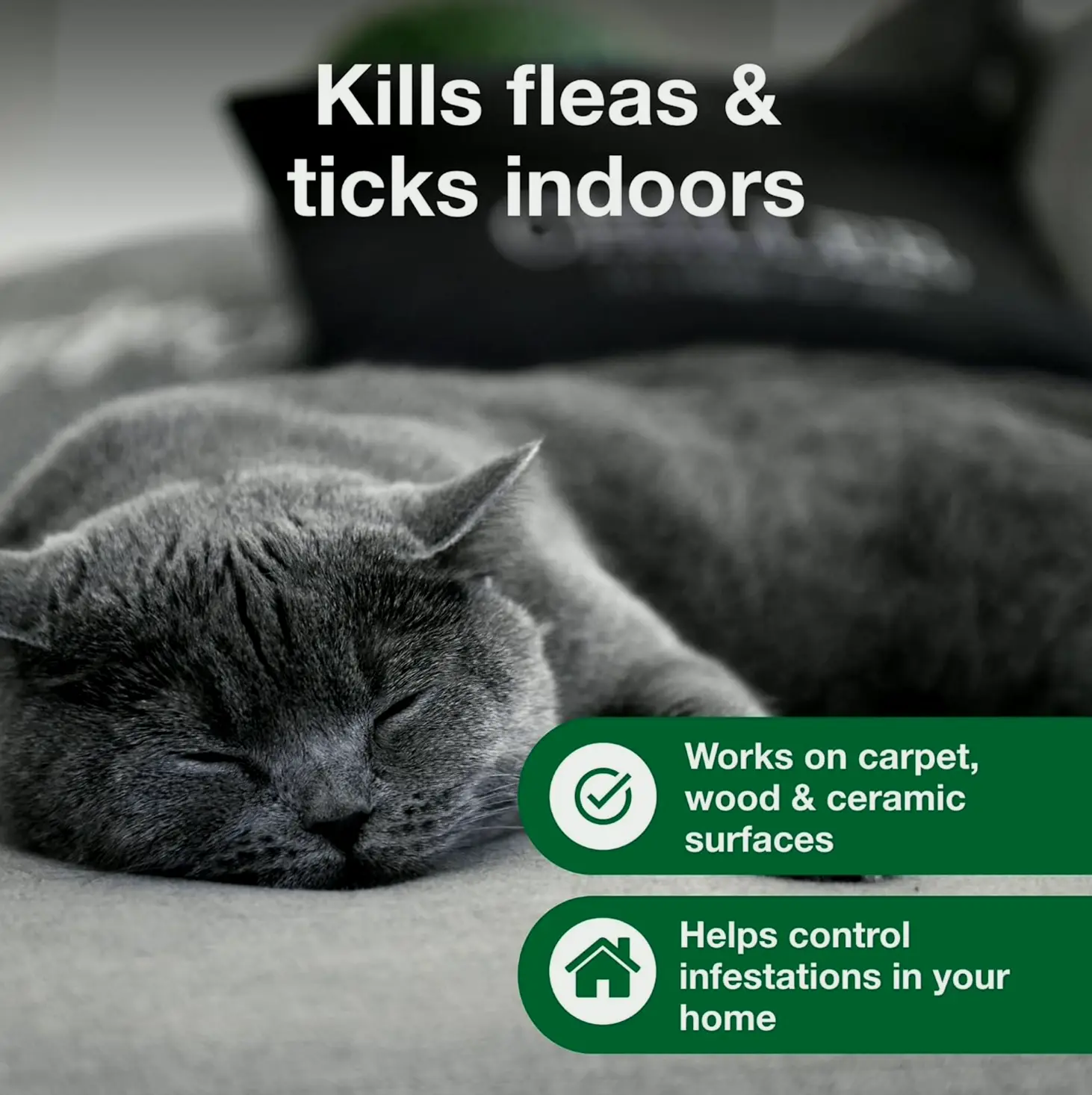 Advantage Carpet & Upholstery Spot Spray | Kills Parasites, Ticks & Bedbugs | 16 oz