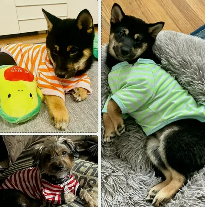 Geyoga 6-Piece Colorful Dog Shirts for Small-Sized Dogs