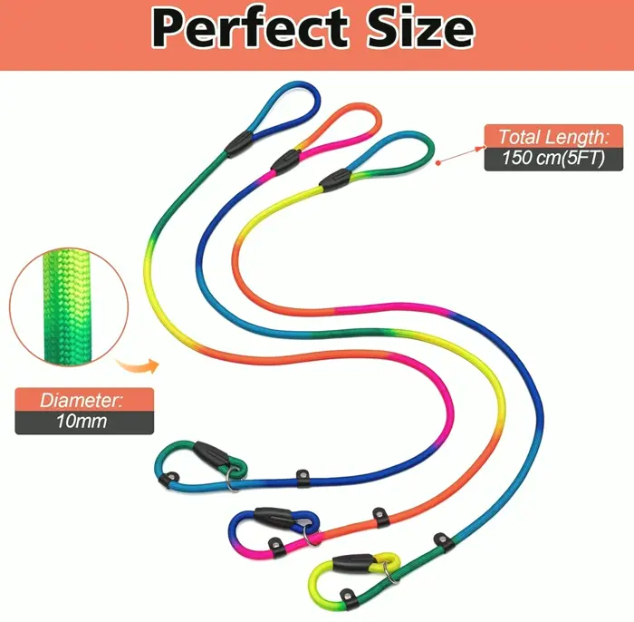 Three No-Pull Dog Leash for Small-Medium Dogs