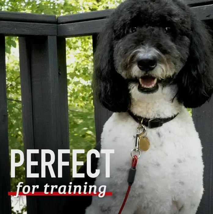 Durable Pet Tether Leash for Big Dogs - Five Foot Indestructible