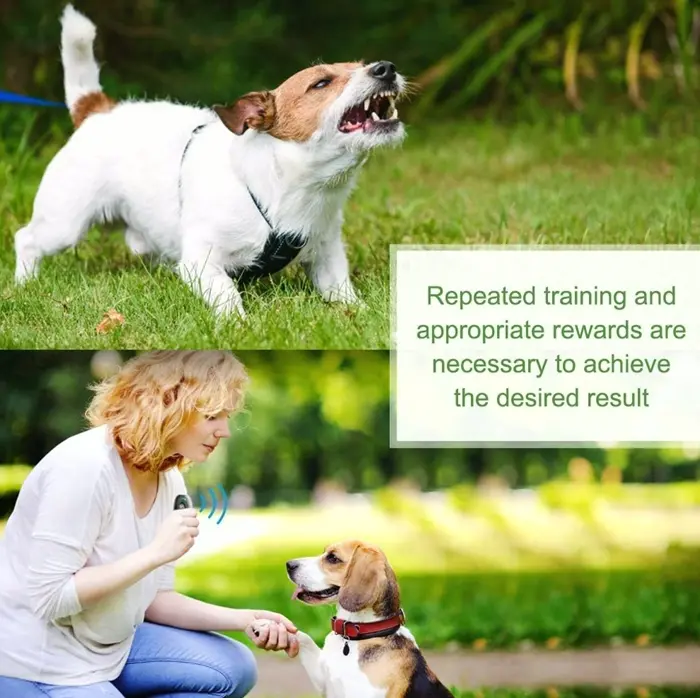 MODUS Canine Noise Prevention Device