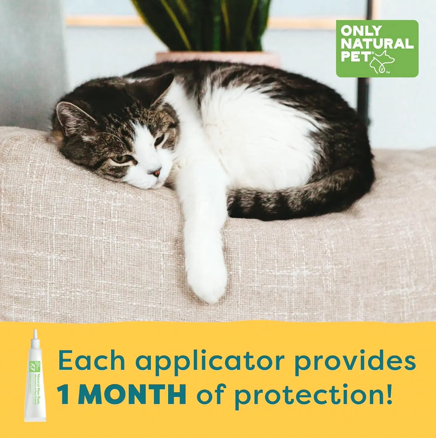 Plant-Based Flea & Tick Control for Cats - EasyDefense Drops