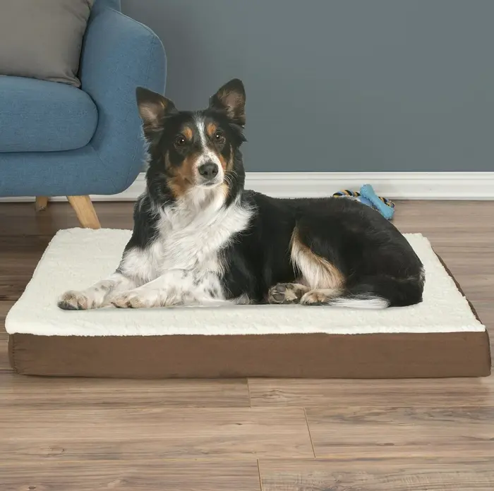Orthopedic Memory Foam Dog Bed - 36 x 27 inches - Large Dogs Up to 65lbs
