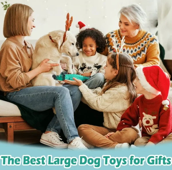 Sturdy Pet Chew Toys for Aggressive Chewers