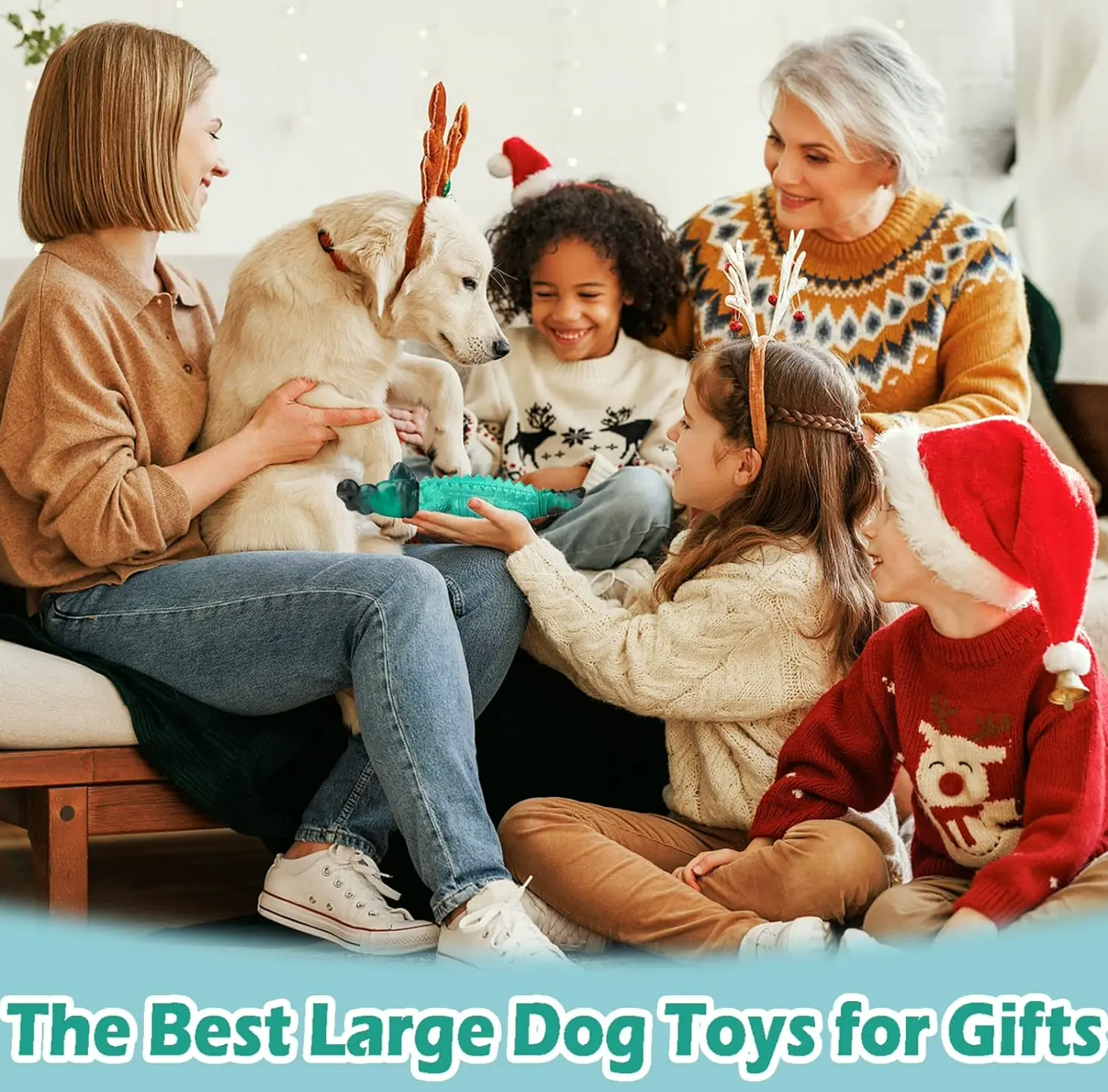 Sturdy Pet Chew Toys for Aggressive Chewers