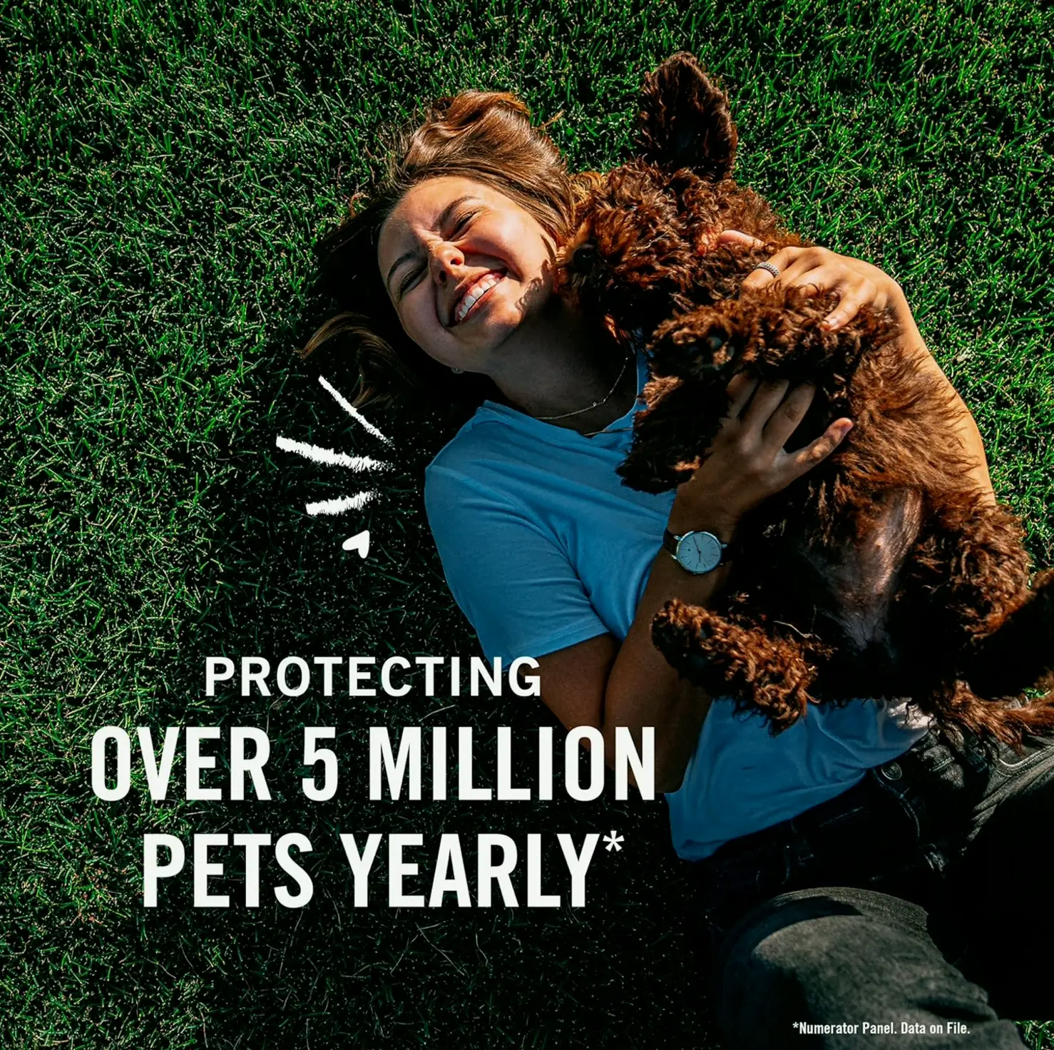 Canine Flea Prevention - Small Dogs