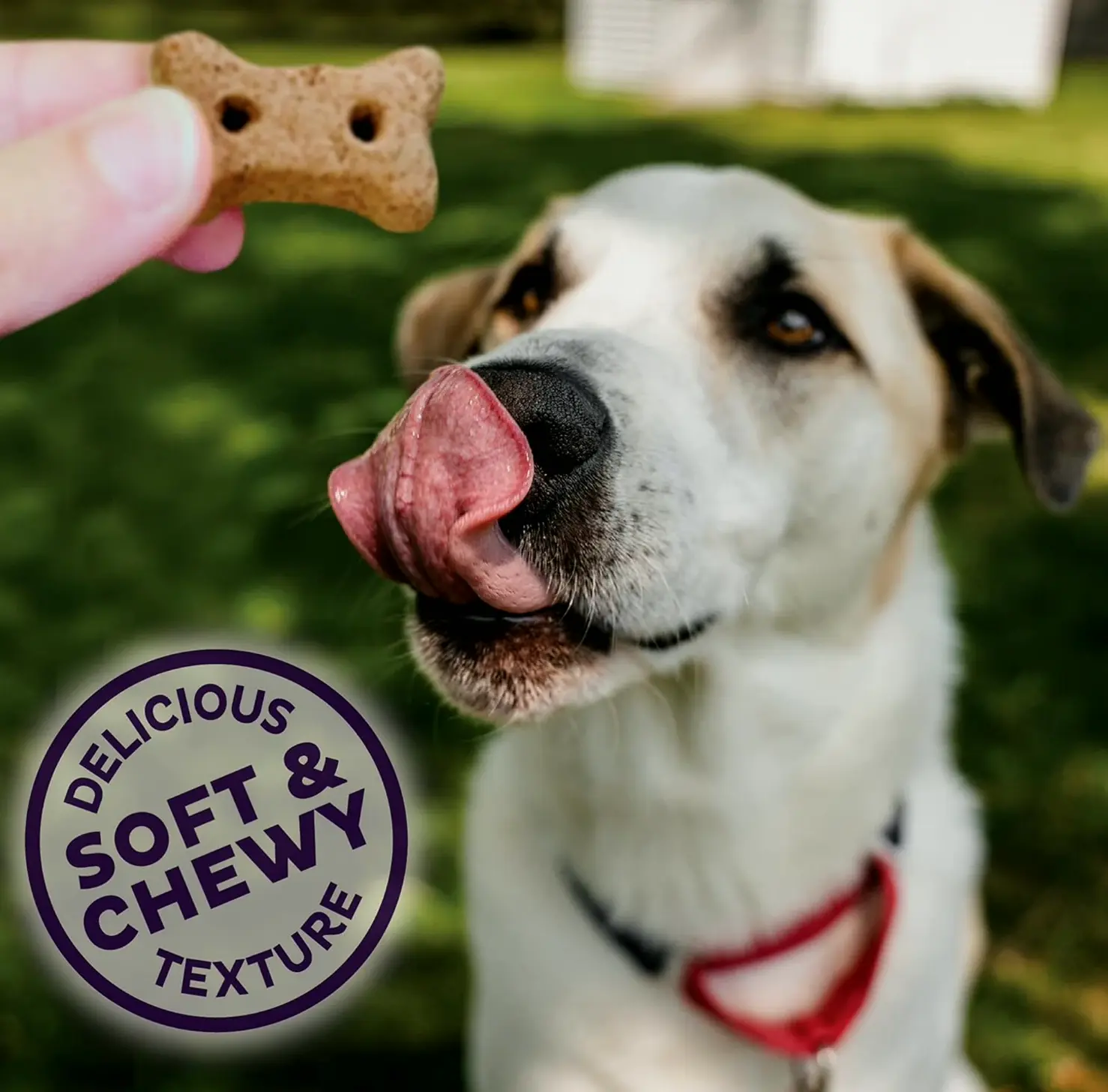 Health Soft P.B.Bacon Canine Treats, Mini 8 Oz Pack