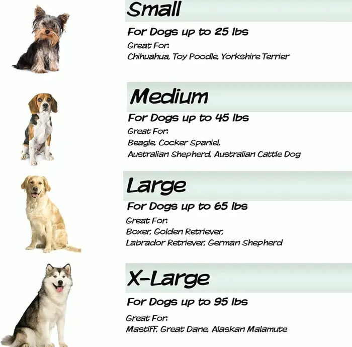 Orthopedic Memory Foam Dog Bed - 36 x 27 inches - Large Dogs Up to 65lbs