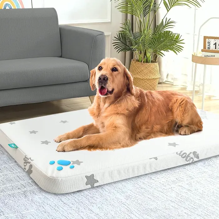 Moisture-resistant Dog Mattress for XXL Dogs, Machine-washable