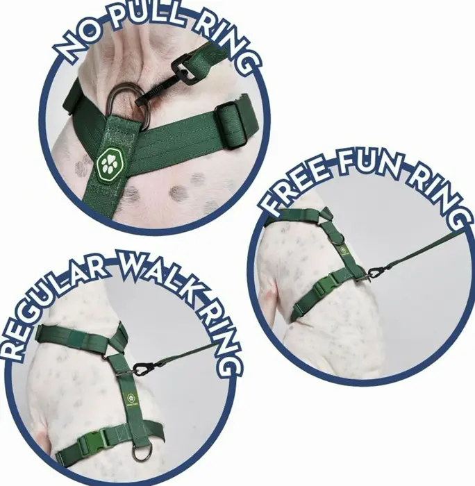 Spark Pets Anti-Pull Canine Harness - Protection for Large, Powerful Dogs - Pitbulls, Boxers - Nineties Retro - L