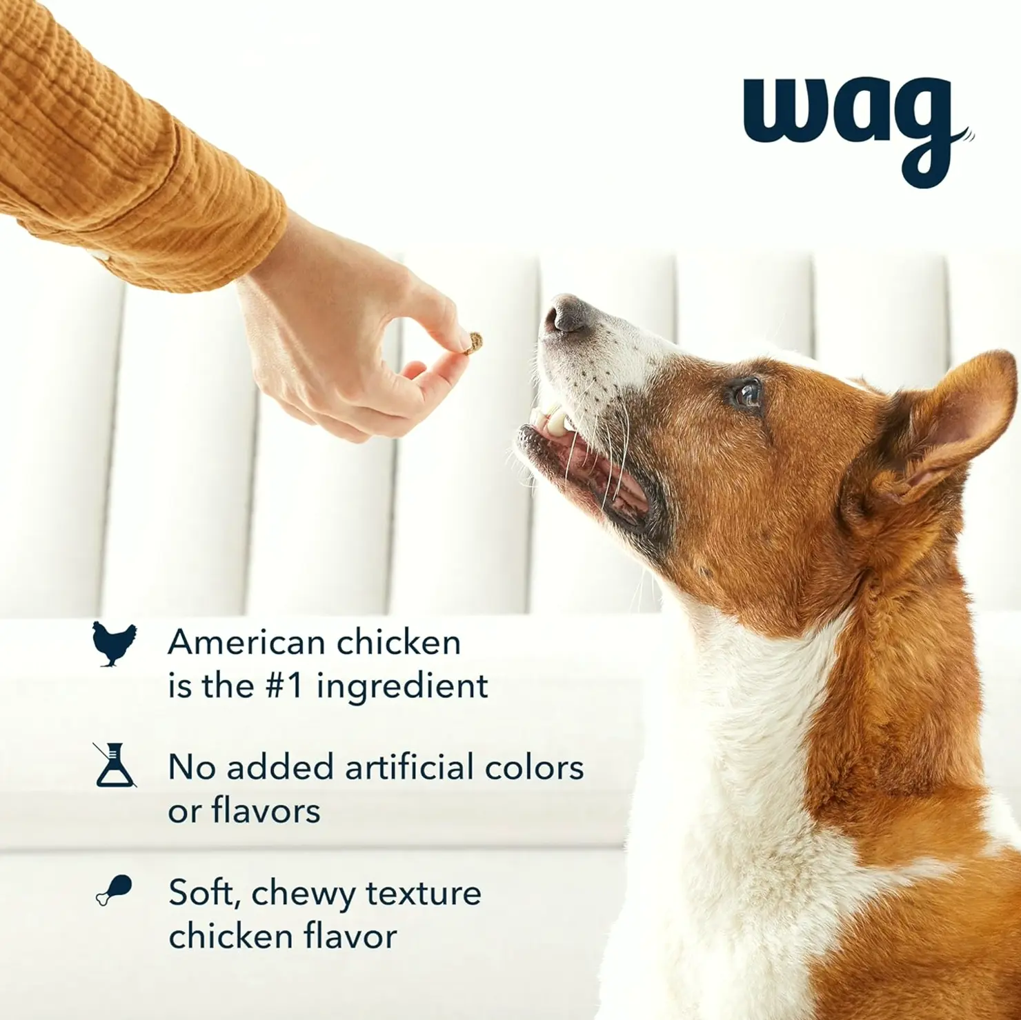 Online Label – Wag Poultry Training Treats for Canines, 1 lb. Bag (16 oz)