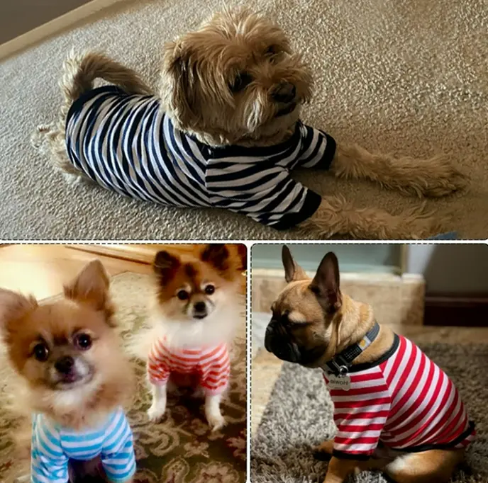 Geyoga 6-Piece Colorful Dog Shirts for Small-Sized Dogs