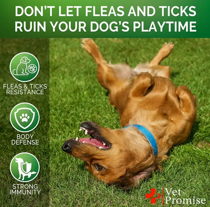 Canine Flea Protection Chews - Natural Remedy