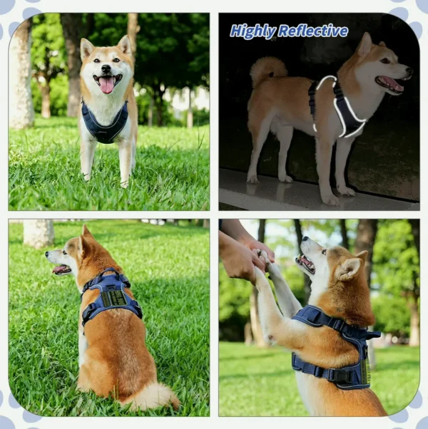 Dog Harness, No Pull, Adaptable, Reflective, Azure, L