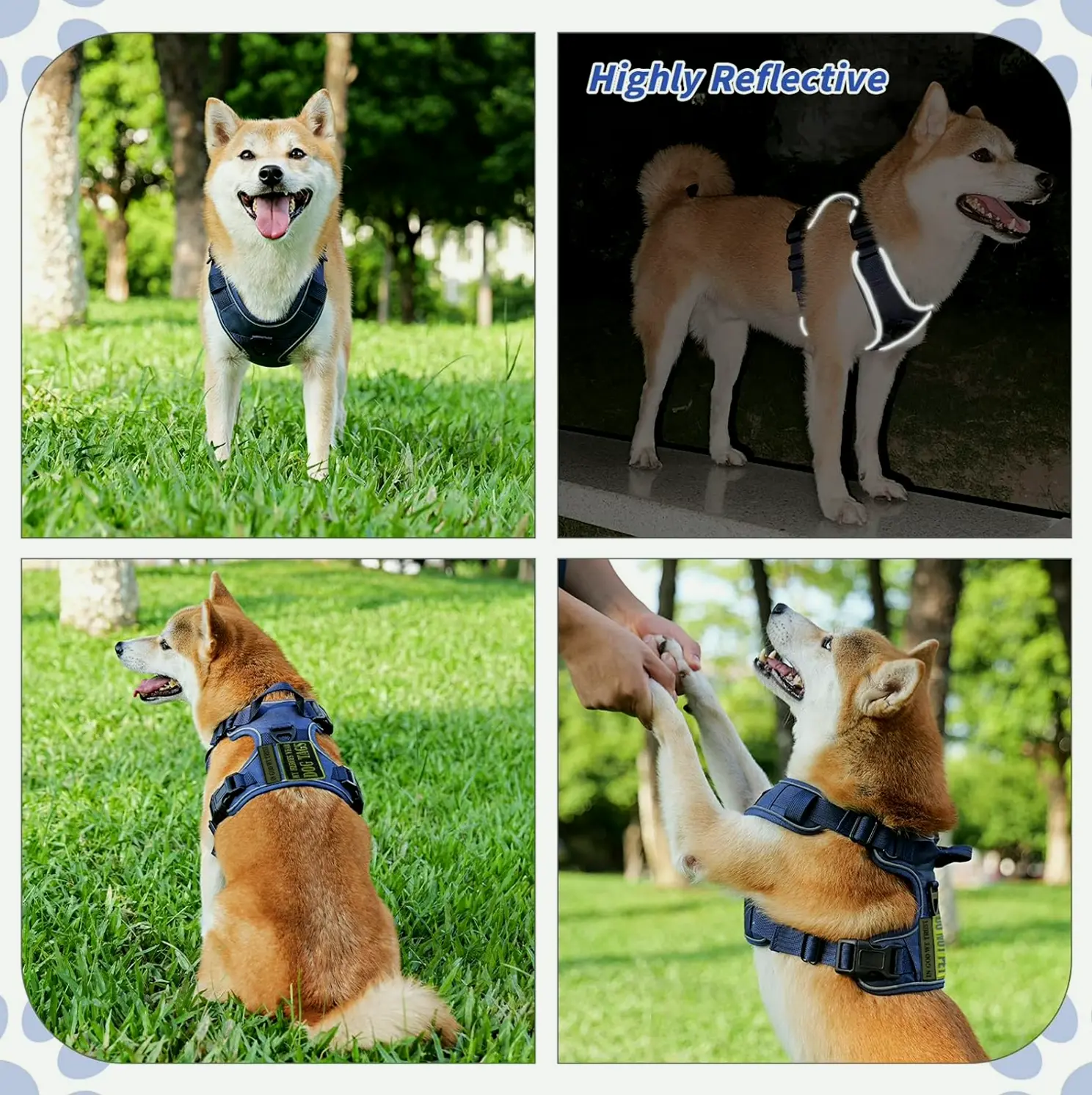 Dog Harness, No Pull, Adaptable, Reflective, Azure, L