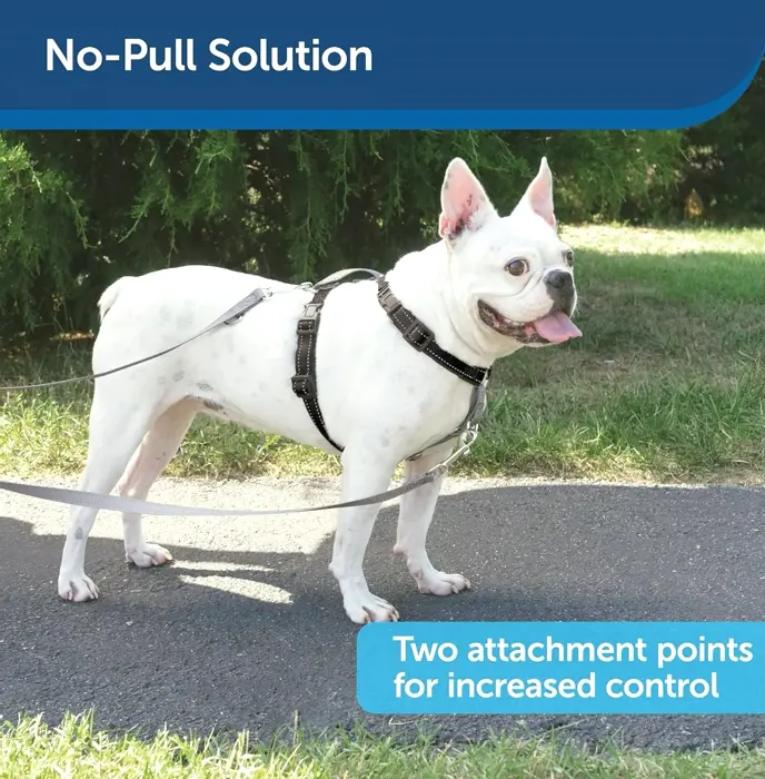 PetSafe's 3-in-1 Harness with Two-Point Control Leash, Resizing, Minor, Black