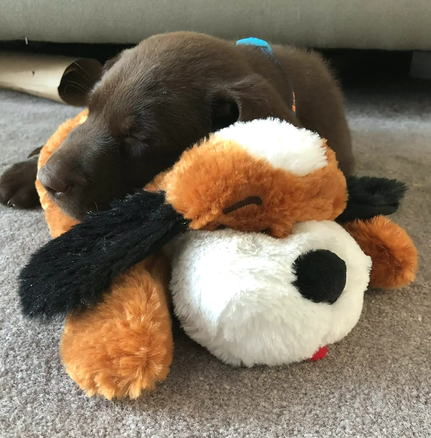 Smart Pet Love Cuddle Pup Heart Beat Stuffed Toy