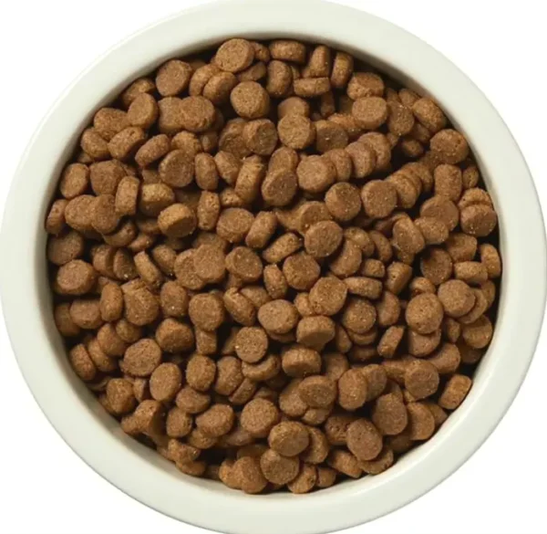 Amazon Brand – Wag Lamb & Brown Rice Dry Dog Food, 5 lb Package