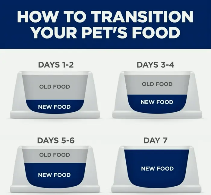 Hill's Scientific Diet Tender Stomach & Skin Support (Grown-up 1-6), Dry Dog Meal, Poultry Formula, 30 lb Sack