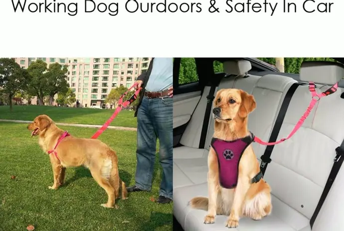 Dog Vehicle Safety Harness, Flexible 2-Pack