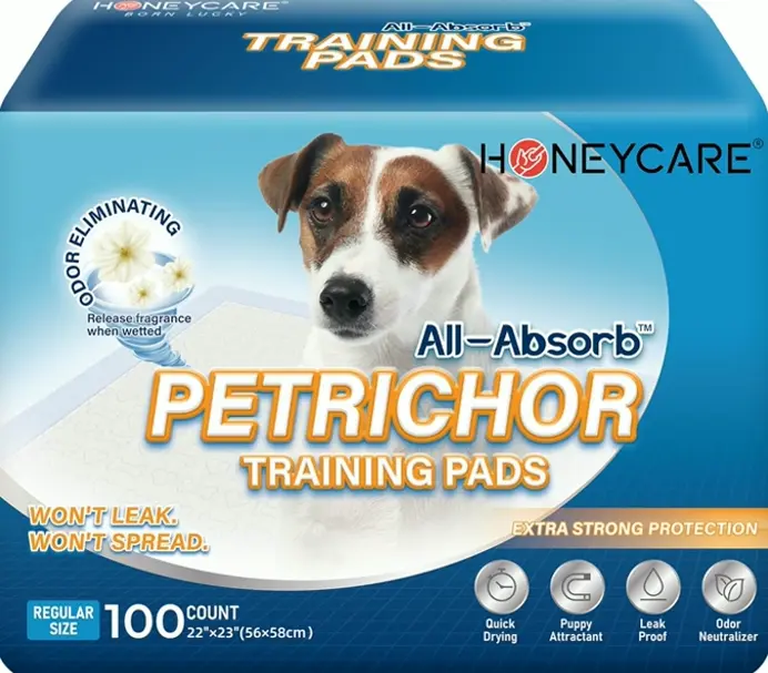 HONEY CARE All-Absorb Dog Training Pads, 100-Pack, Odor-Free