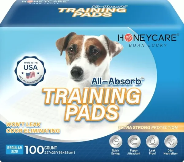 HONEY CARE All-Absorb Dog Training Pads, 100-Pack, Odor-Free