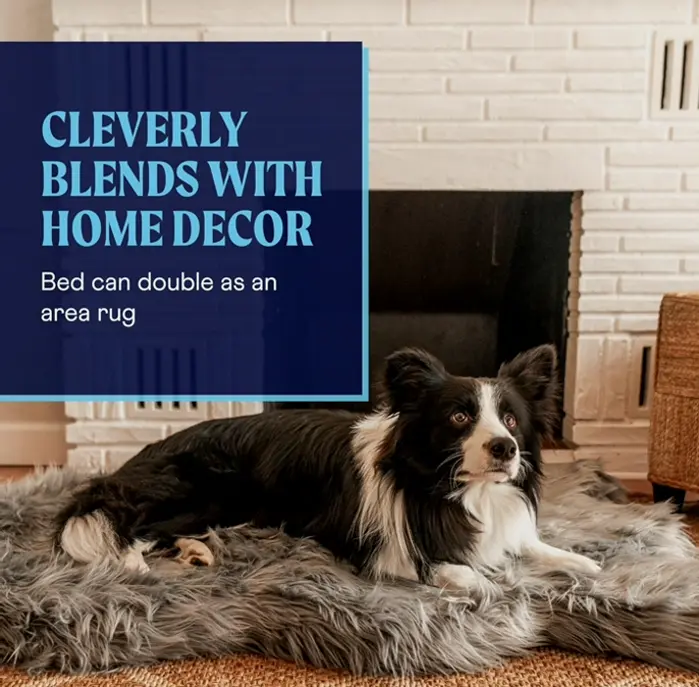 Therapeutic Dog Bed with Plush Cover