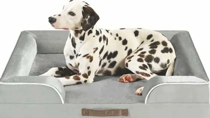 Orthopedic Dog Bed for Large Dogs with Memory Foam