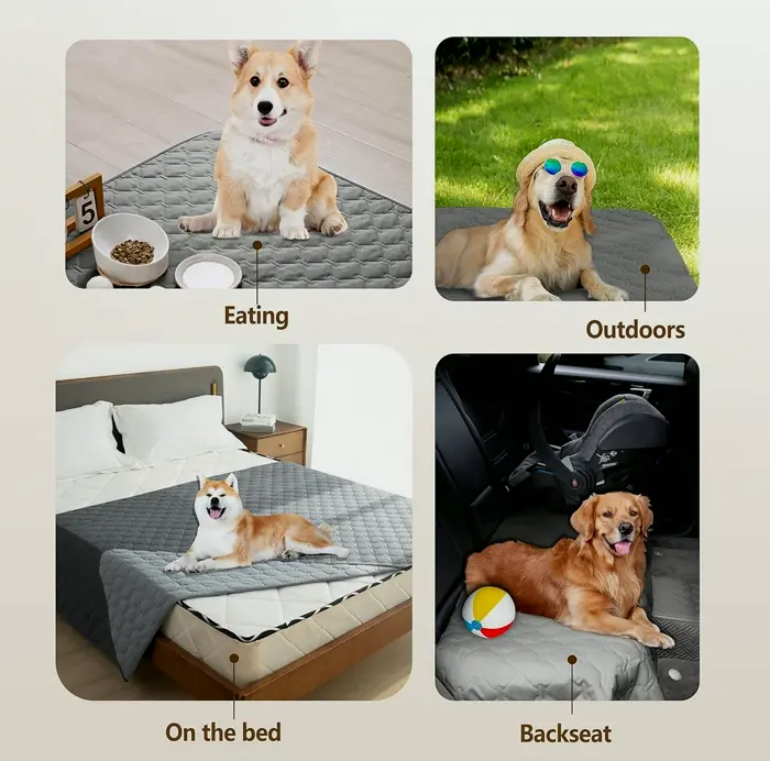 Water-Resistant Pet Blanket for Furniture & Bed Protection