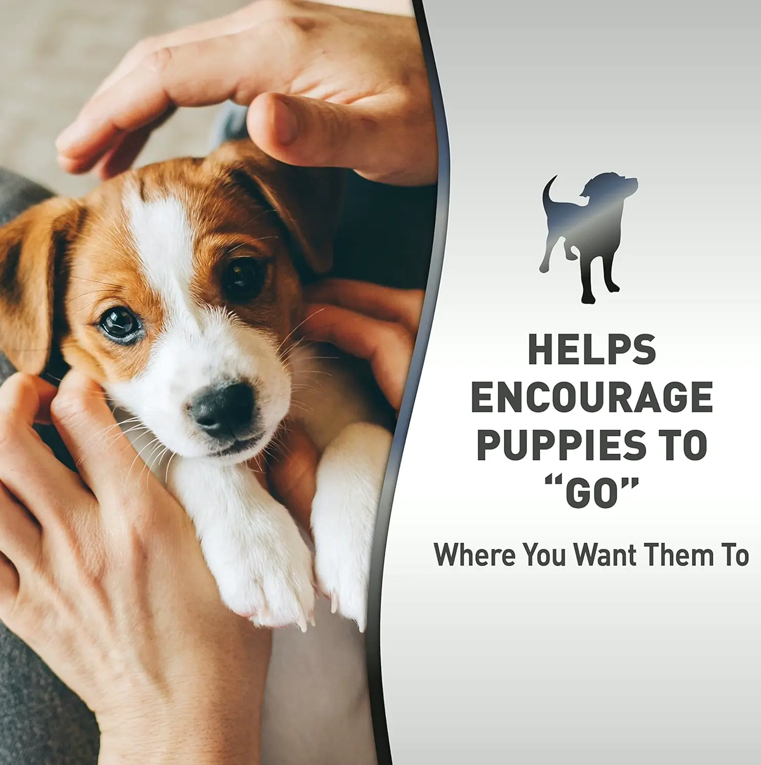 Premium Puppy Toilet Training Mist, 16 Oz