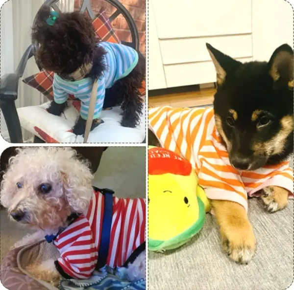 Geyoga 6-Piece Colorful Dog Shirts for Small-Sized Dogs