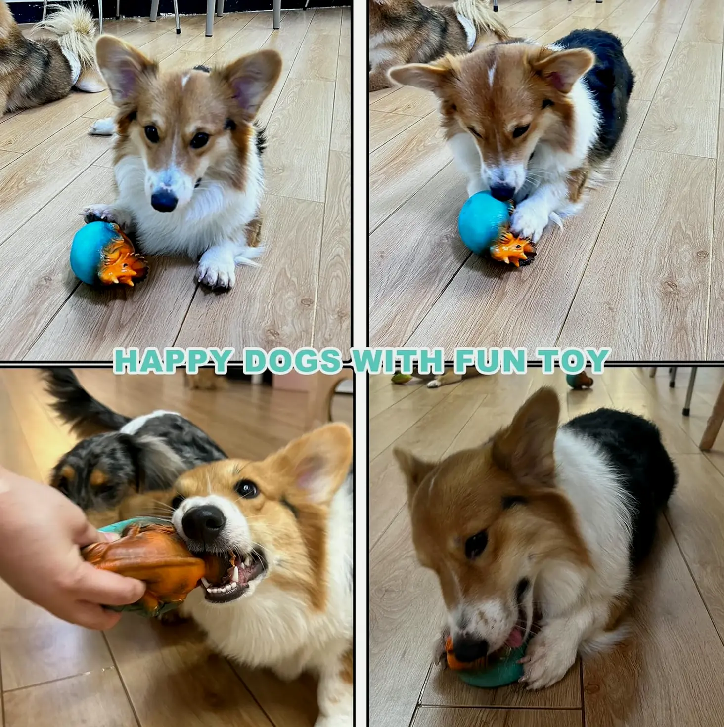 Dog Chew Toy, Vegetable Squeaky & Rubber Dinosaur Plaything