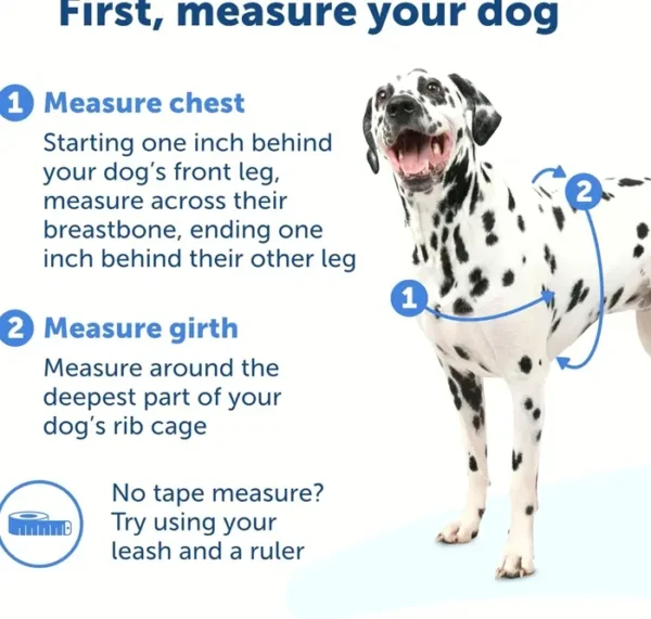 PetSafe Easy Walk Dog Restraint for Medium Dogs