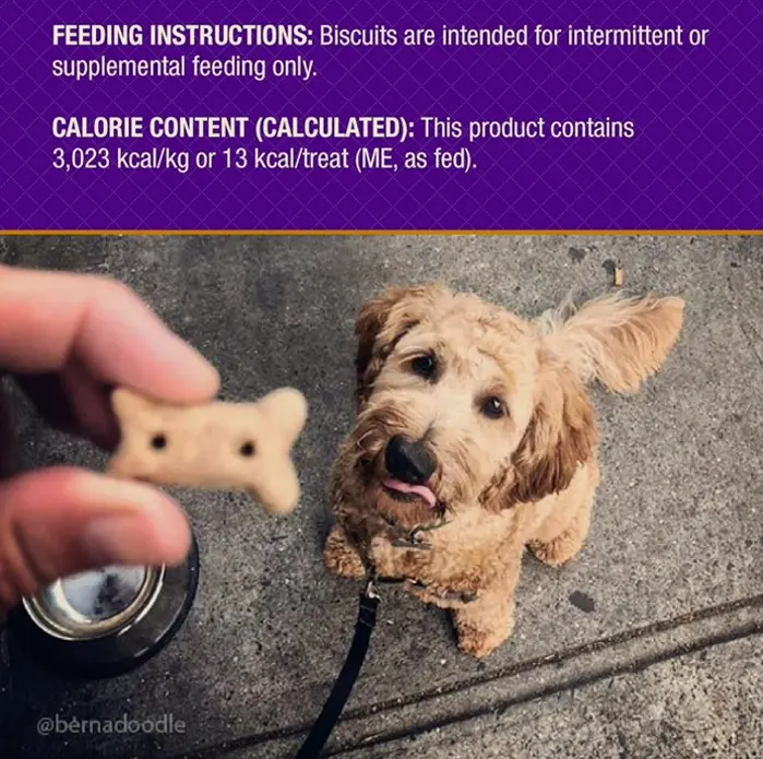 Health Soft P.B.Bacon Canine Treats, Mini 8 Oz Pack