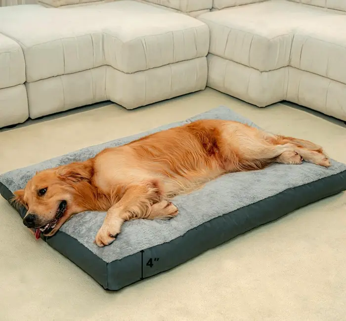 Large Canine Mattresses with Removable Covers