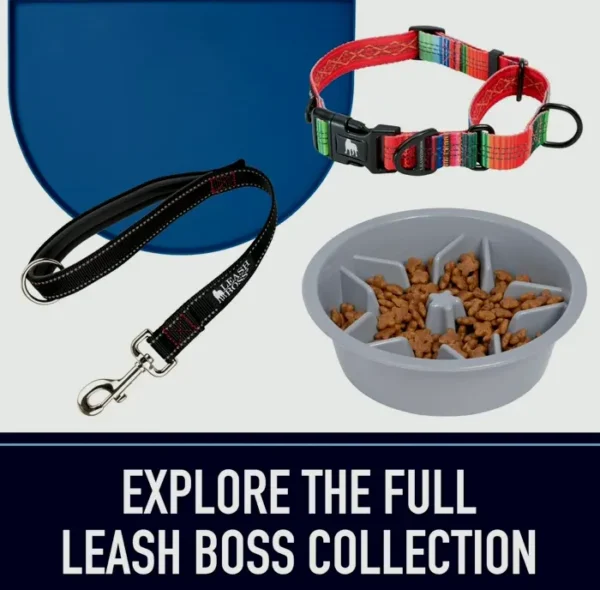 Durable Pet Tether Leash for Big Dogs - Five Foot Indestructible