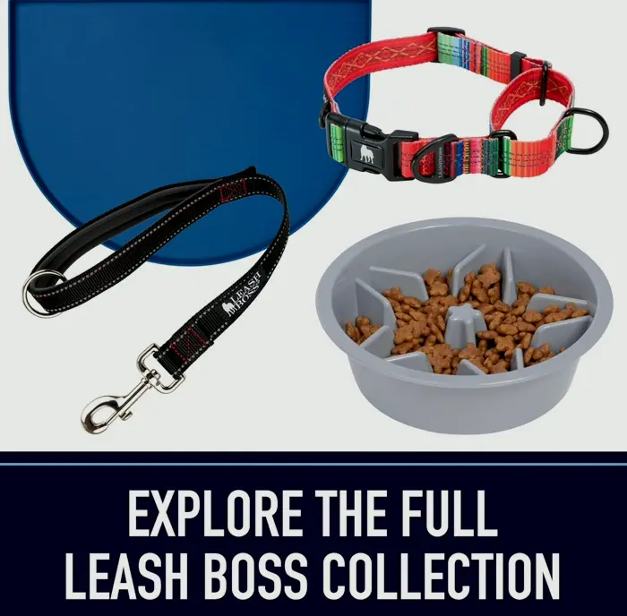 Durable Pet Tether Leash for Big Dogs - Five Foot Indestructible
