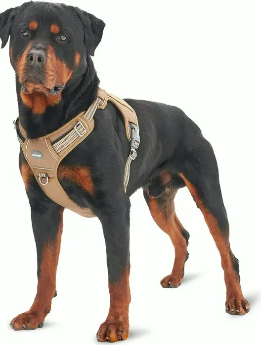 Durable Tactical Pet Vest Adjustable