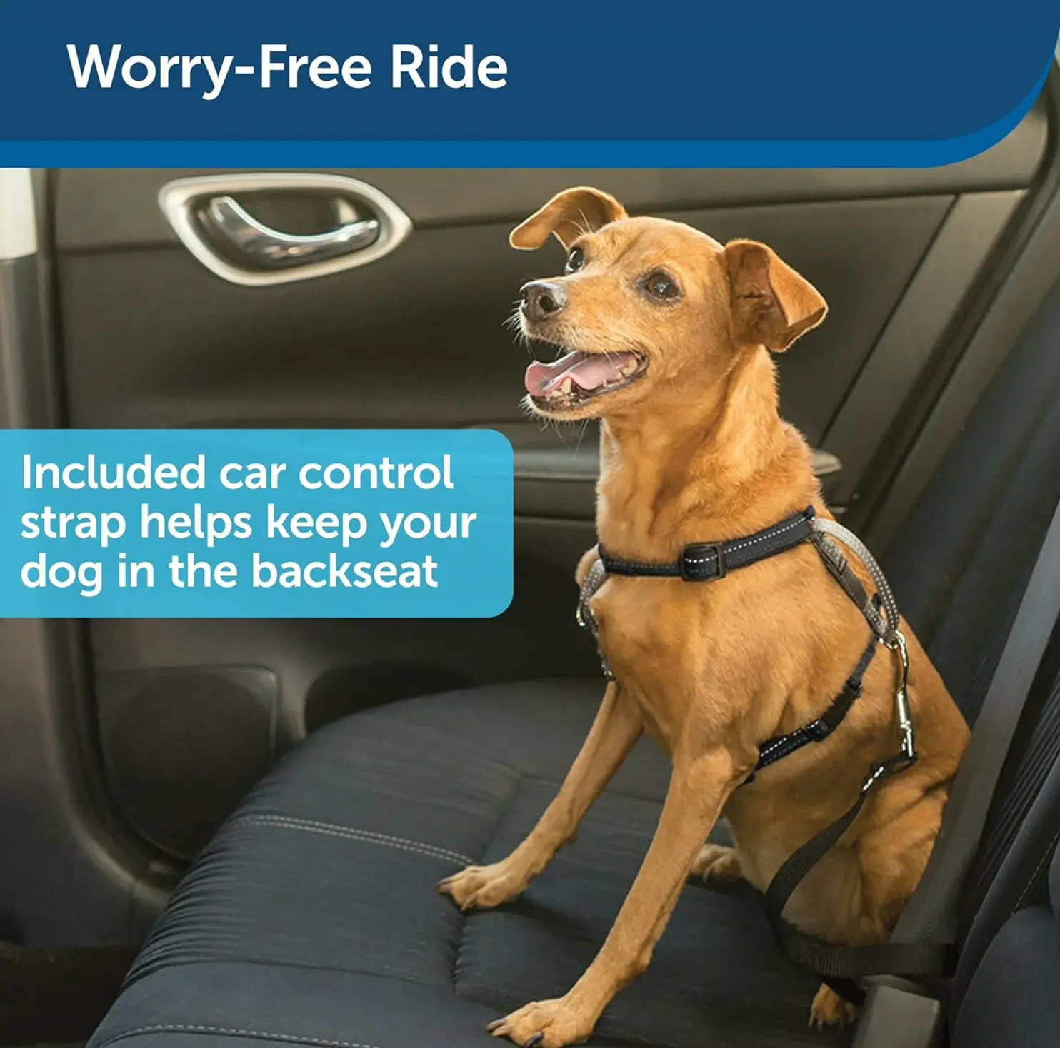 PetSafe's 3-in-1 Harness with Two-Point Control Leash, Resizing, Minor, Black